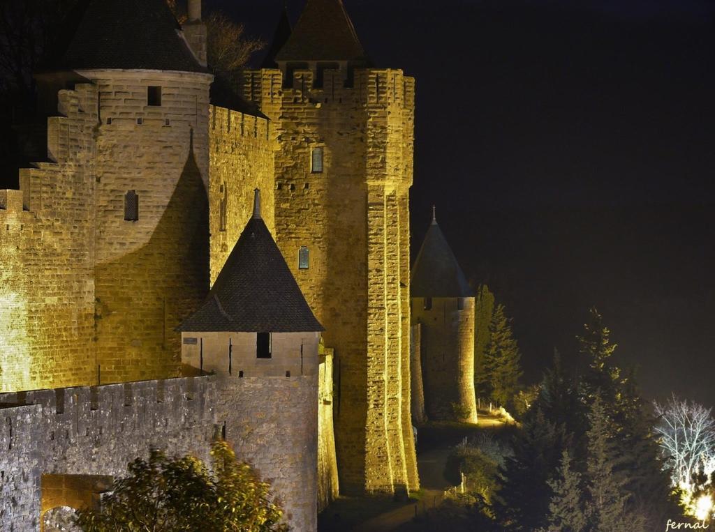 Villa L'Oree De La Cite Carcassonne Exterior foto